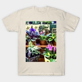 African Violets - African Violets For Sale T-Shirt